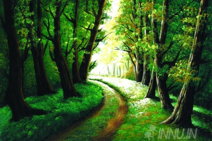 Buy Fine art painting Forest path road by Artist Unknown Artist