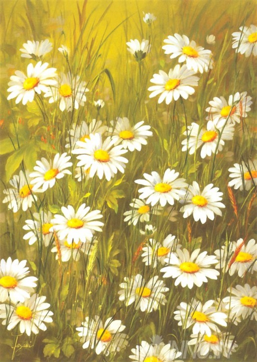 Buy Fine art painting Daisy Flowers by Artist Fasani
