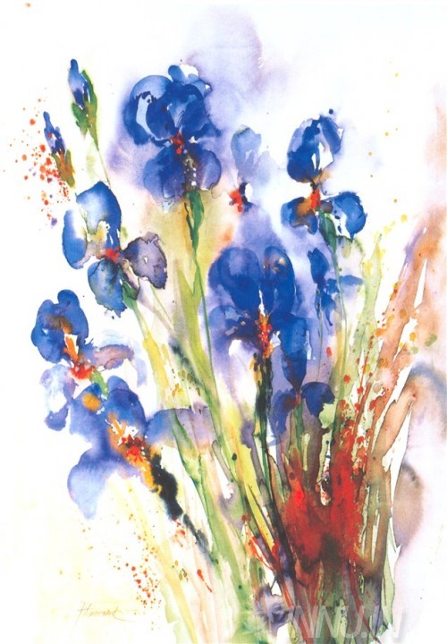 Buy Fine art painting Iris Flower by Artist J Hammerle