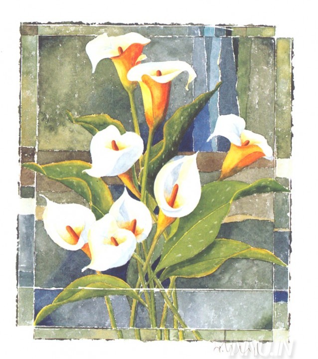 Buy Fine art painting Calla Lily by Artist Franz Heigl