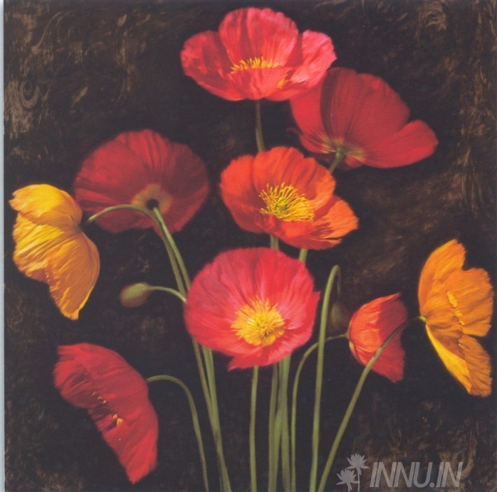 Buy Fine art painting Poppy Bouquet 1 by Artist Jhon Seba