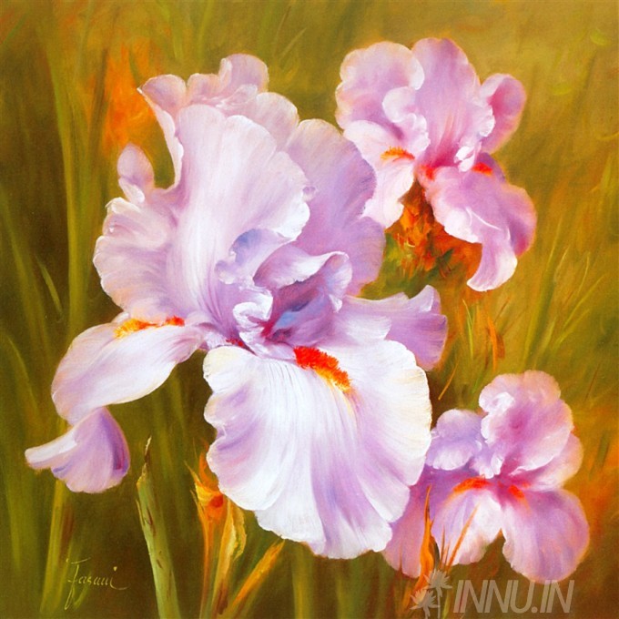 Buy Fine art painting Lavender Iris by Artist Unknown Artist