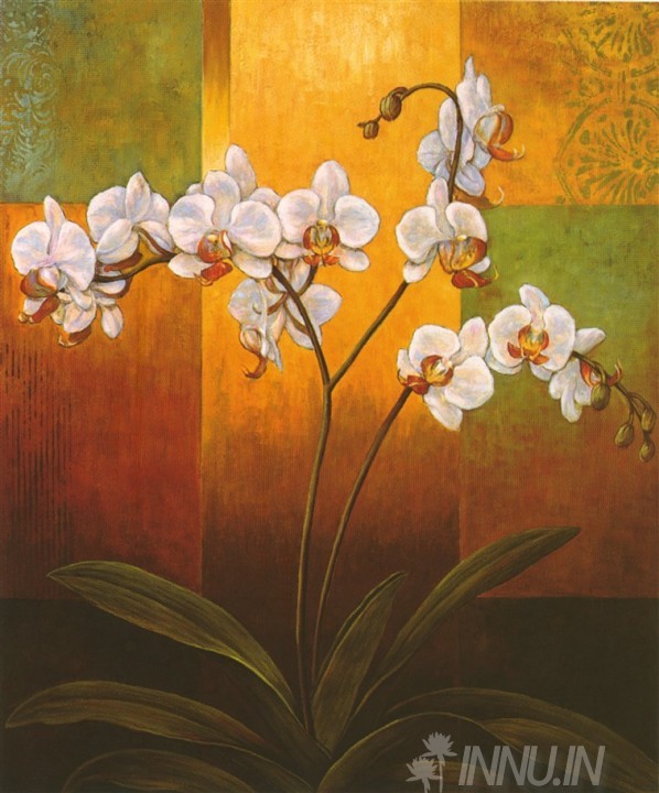 Buy Fine art painting White Flower by Artist Jill Deveraux