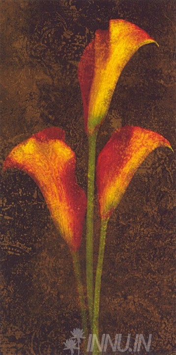 Buy Fine art painting Calla-Lilien by Artist Jhon Seba