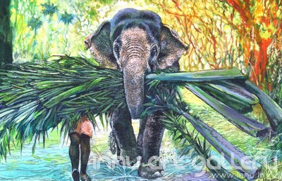 Buy Fine art painting Elephant by Artist Martin