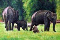 Fine art  - Elephants and a cub by Artist 