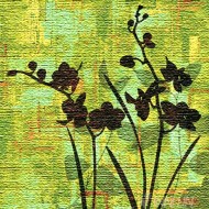 Fine art  - Silhouette On Green by Artist Erin Lange