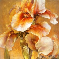 Fine art  - Golden Iris  by Artist Dennis Carney