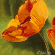 Fine art  - Coquelicots Dans Le Soleil 1 by Artist Pierre Viollet