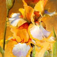 Fine art  - Golden Iris 2 by Artist Dennis Carney