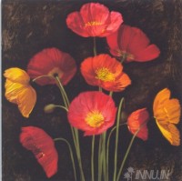 Fine art  - Poppy Bouquet 1 by Artist Jhon Seba