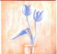 Fine art  - Tulips  by Artist 