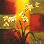 Fine art  - Orchid Flowers by Artist 