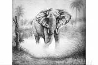 Fine art  - Elephant  by Artist 