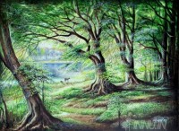 Fine art  - Forestry by Artist 