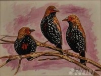 Fine art  - Birds by Artist Suresh Dev