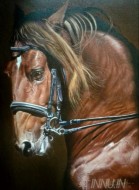 Fine art  - Horse by Artist Dinak Divakaran