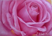 Fine art  - Rose by Artist Dinak Divakaran