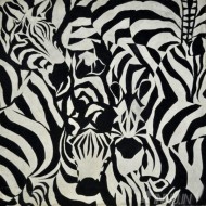 Fine art  - Zebra Herd by Artist Sai Kumar