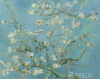 Fine art  - Almond Blossoms by Artist Vincent Van Gogh