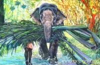 Fine art  - Elephant by Artist Martin